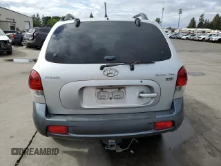 2006 Hyundai Santa Fe GLS with VIN KM8SC13E36U049025, listed as a Copart auction lot 70656494 with 224,422 mi miles and Salvage Title. Bid and sale history available at carsss.com. Image 6.