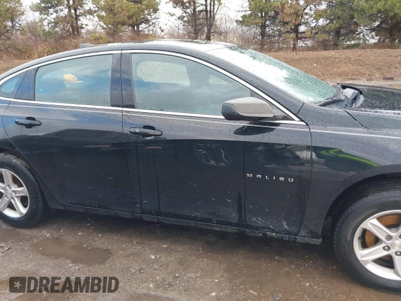 2019 Chevrolet Malibu LS with VIN 1G1ZB5ST7KF131084, listed as a IAAI auction lot 41726724 with 125,388 mi miles and . Bid and sale history available at DreamBid. Image 14.