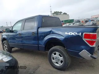 2013 Ford F-150 XL with VIN 1FTFW1EF9DFC06013, listed as a IAAI auction lot 41942423 with 300,161 mi miles and . Bid and sale history available at carsss.com. Image 14.