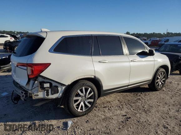 2019 Honda Pilot EX-L with VIN 5FNYF5H40KB019724, listed as a Copart auction lot 81987244 with 117,406 mi miles and Salvage title. Bid and sale history available at DreamBid. Image 3.