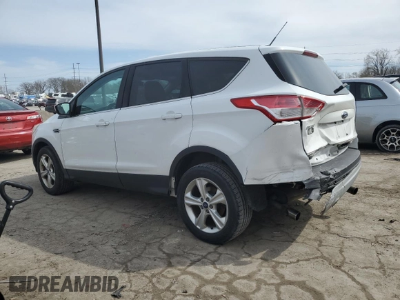 2013 Ford Escape SE with VIN 1FMCU0GX2DUC38334, listed as a Copart auction lot 51489675 with 171,204 mi miles and Salvage Title. Bid and sale history available at carsss.com. Image 2.