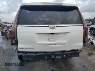 2019 Cadillac Escalade ESV Platinum with VIN 1GYS4KKJ0KR209293, listed as a Copart auction lot 49096355 with 127,362 mi miles and Salvage title. Bid and sale history available at DreamBid. Image 6.