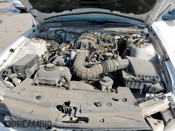 2009 Ford Mustang with VIN 1ZVHT80N695139910, listed as a Copart auction lot 58640245 with 174,769 mi miles and Clean title. Bid and sale history available at DreamBid. Image 11.