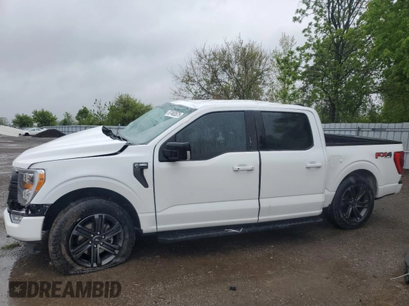 2021 Ford F-150 XL with VIN 1FTEW1EP1MFA64051, listed as a Copart auction lot 57483575 with Not provided miles and Non repairable. Bid and sale history available at DreamBid. Image 1.