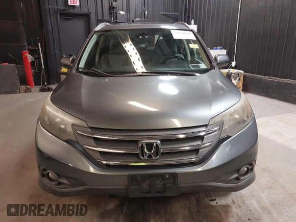 2012 Honda CR-V EX-L with VIN 2HKRM4H75CH619513, listed as a IAAI auction lot 42614822 with 116,903 mi miles and . Bid and sale history available at DreamBid. Image 12.