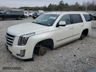 2015 Cadillac Escalade Premium with VIN 1GYS4NKJ0FR729503, listed as a Copart auction lot 81508723 with 140,965 mi miles and Clean Title. Bid and sale history available at carsss.com. Image 1.