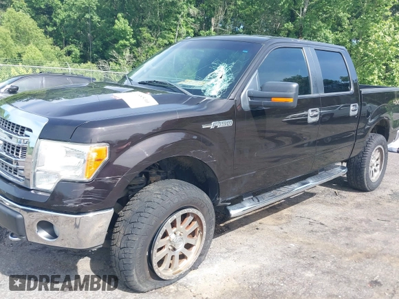 2013 Ford F-150 XL with VIN 1FTFW1EF1DKE75579, listed as a IAAI auction lot 42288530 with 141,354 mi miles and . Bid and sale history available at DreamBid. Image 17.