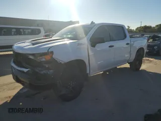 2022 Chevrolet Silverado 1500 Custom Trail Boss with VIN 3GCPDCED5NG682182, listed as a Copart auction lot 70494034 with Not Provided miles and Salvage Title. Bid and sale history available at DreamBid. Image 1.
