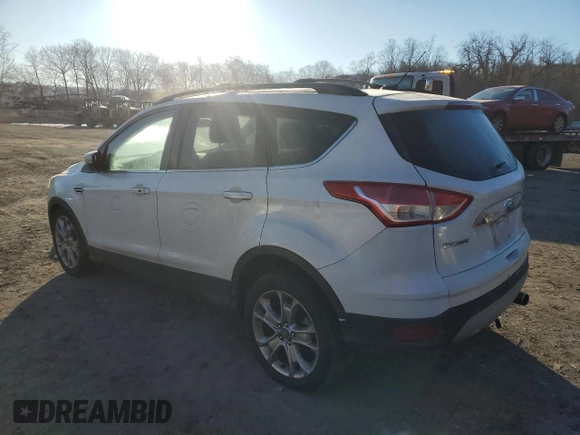 2013 Ford Escape SEL with VIN 1FMCU9H92DUB88166, listed as a Copart auction lot 41728725 with 123,606 mi miles and Clean Title. Bid and sale history available at DreamBid. Image 2.