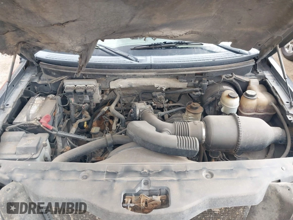 2007 Ford F-150 XLT with VIN 1FTRW12W27KB93506, listed as a IAAI auction lot 42397980 with Not provided miles and . Bid and sale history available at DreamBid. Image 10.