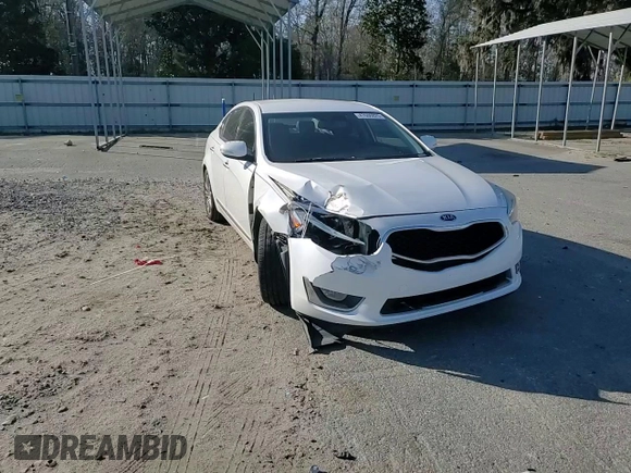 2014 Kia Cadenza Premium with VIN KNALN4D74E5138578, listed as a Copart auction lot 47606025 with 141,668 mi miles and Salvage Title. Bid and sale history available at DreamBid. Image 10.