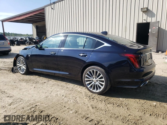 2021 Cadillac CT5 Premium Luxury with VIN 1G6DT5RW2M0111624, listed as a Copart auction lot 60633765 with 13,268 mi miles and Salvage title. Bid and sale history available at DreamBid. Image 2.