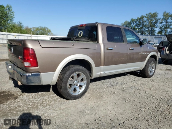 2009 Dodge 1500 SLT with VIN 1D3HV13T39J528159, listed as a Copart auction lot 55737195 with 192,899 mi miles and Clean Title. Bid and sale history available at carsss.com. Image 3.