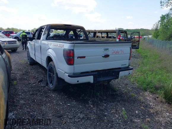 2013 Ford F-150 XL with VIN 1FTFW1ETXDFA48643, listed as a IAAI auction lot 42287016 with Not provided miles and . Bid and sale history available at DreamBid. Image 3.