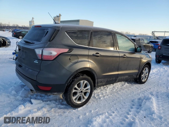 2017 Ford Escape SE with VIN 1FMCU0GD8HUE14993, listed as a Copart auction lot 87868485 with 118,768 mi miles and Salvage Title. Bid and sale history available at carsss.com. Image 3.