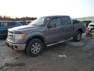 2013 Ford F-150 XL with VIN 1FTFW1EF9DFD38723, listed as a Copart auction lot 83895324 with 175,651 mi miles and Non Repairable. Bid and sale history available at carsss.com. Image 1.
