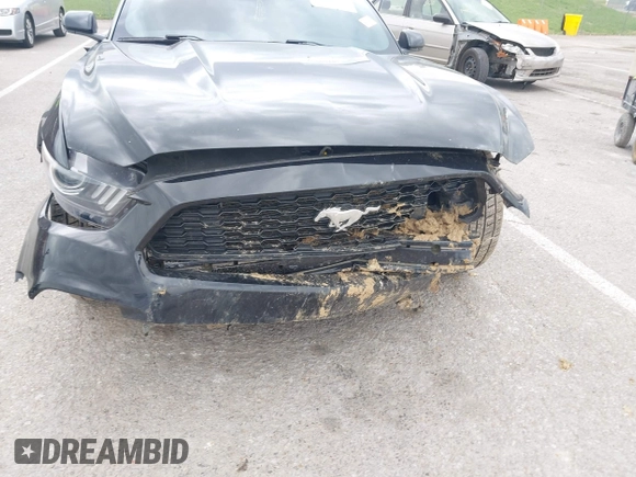 2017 Ford Mustang V6 with VIN 1FA6P8AM8H5280924, listed as a IAAI auction lot 41938096 with 167,622 mi miles and . Bid and sale history available at DreamBid. Image 6.