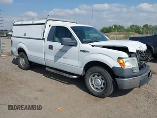 2010 Ford F-150 XL with VIN 1FTMF1CW6AKE05372, listed as a IAAI auction lot 42806766 with 193,795 mi miles and . Bid and sale history available at DreamBid. Image 1.