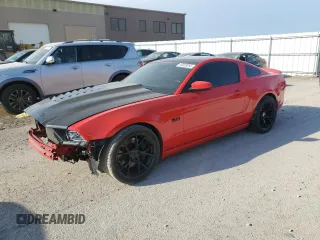 2013 Ford Mustang GT with VIN 1ZVBP8CF2D5226663, listed as a Copart auction lot 50233255 with 50,185 mi miles and Salvage title. Bid and sale history available at DreamBid. Image 1.