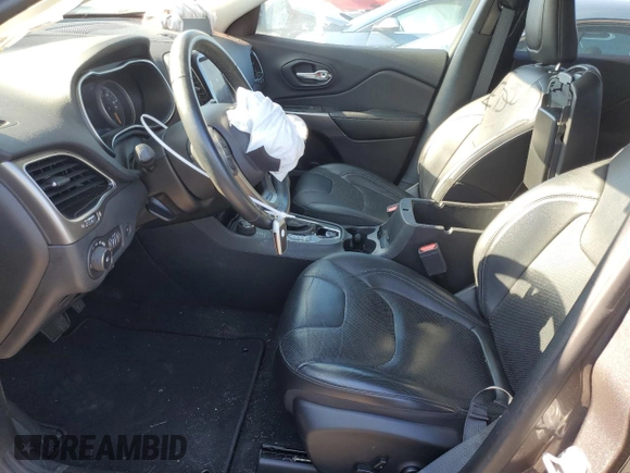 2019 Jeep Cherokee Limited with VIN 1C4PJMDX1KD310146, listed as a Copart auction lot 53109865 with 100,234 mi miles and Salvage Title. Bid and sale history available at carsss.com. Image 7.