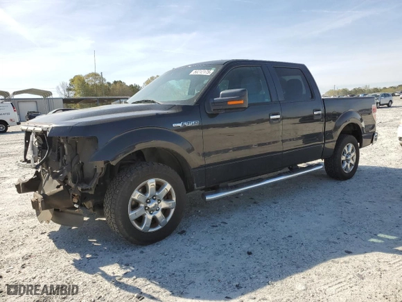 2013 Ford F-150 XL with VIN 1FTEW1CMXDFB15023, listed as a Copart auction lot 50212175 with 195,482 mi miles and Salvage Title. Bid and sale history available at carsss.com. Image 1.