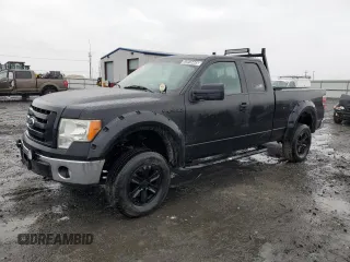 2011 Ford F-150 XL with VIN 1FTFX1EF4BFB11479, listed as a Copart auction lot 52015445 with 179,865 mi miles and Clean Title. Bid and sale history available at carsss.com. Image 1.
