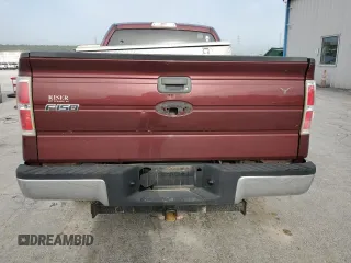 2010 Ford F-150 XL with VIN 1FTEX1C84AFB07754, listed as a Copart auction lot 55527995 with 236,226 mi miles and Salvage title. Bid and sale history available at DreamBid. Image 6.