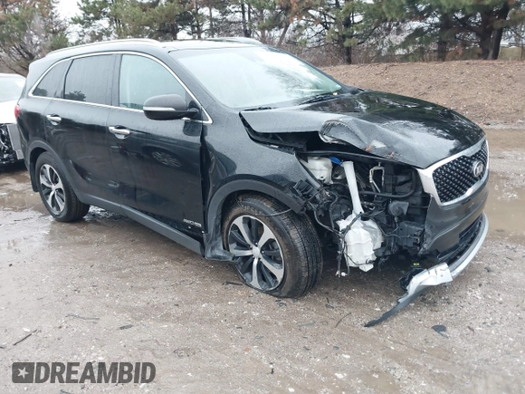 2017 Kia Sorento EX with VIN 5XYPHDA59HG231011, listed as a IAAI auction lot 41218507 with 149,190 mi miles and . Bid and sale history available at DreamBid. Image 1.