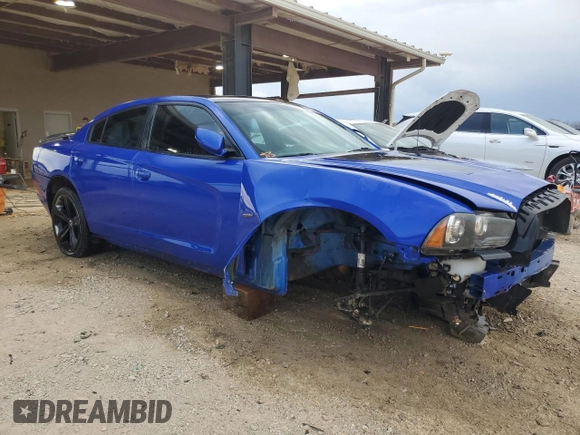 2013 Dodge Charger RT with VIN 2C3CDXCT2DH677668, listed as a Copart auction lot 48690945 with 177,519 mi miles and Salvage Title. Bid and sale history available at carsss.com. Image 4.
