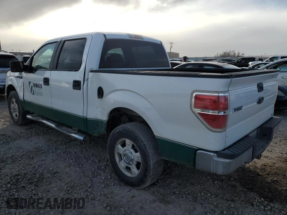 2009 Ford F-150 XL with VIN 1FTPW14V99FA25577, listed as a Copart auction lot 47128865 with 159,850 mi miles and Salvage title. Bid and sale history available at DreamBid. Image 2.