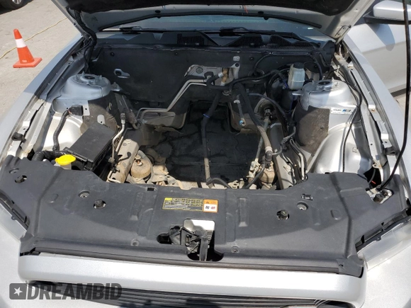 2013 Ford Mustang GT with VIN 1ZVBP8CF3D5248395, listed as a Copart auction lot 52487555 with Not provided miles and Clean title. Bid and sale history available at DreamBid. Image 11.