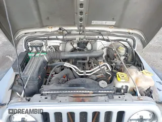 2003 Jeep Wrangler X with VIN 1J4FA39S33P363153, listed as a IAAI auction lot 41584805 with 160,676 mi miles. Bid and sale history available at carsss.com. Image 10.