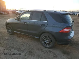 2014 Mercedes-Benz M 350 with VIN 4JGDA2EB4EA424086, listed as a Copart auction lot 48661845 with 131,818 mi miles and Salvage Title. Bid and sale history available at DreamBid. Image 2.