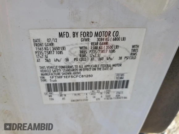 2012 Ford F-150 XL with VIN 1FTMF1EF5CFC81250, listed as a Copart auction lot 80363234 with 290,048 mi miles and Salvage title. Bid and sale history available at DreamBid. Image 12.