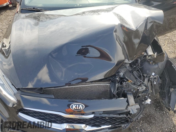 2019 Kia Forte S with VIN 3KPF34AD9KE072349, listed as a Copart auction lot 51484735 with 0 mi miles and Salvage Title. Bid and sale history available at carsss.com. Image 11.