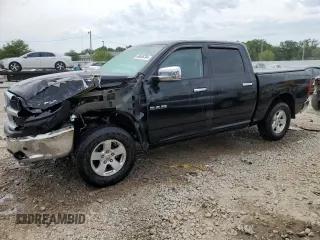 2010 Dodge 1500 SLT with VIN 1D7RV1CP1AS174131, listed as a Copart auction lot 60446704 with 164,653 mi miles and Non Repairable. Bid and sale history available at carsss.com. Image 1.