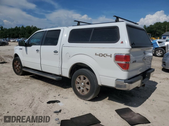 2011 Ford F-150 XL with VIN 1FTFW1EF4BKD81953, listed as a Copart auction lot 63464825 with 224,685 mi miles and Non repairable. Bid and sale history available at DreamBid. Image 2.