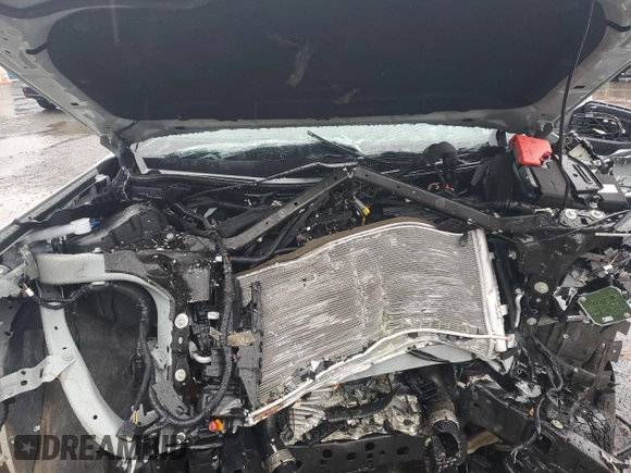2024 Ford Ranger XLT with VIN 1FTER4GH7RLE41103, listed as a Copart auction lot 44966405 with Not provided miles and Salvage title. Bid and sale history available at DreamBid. Image 12.