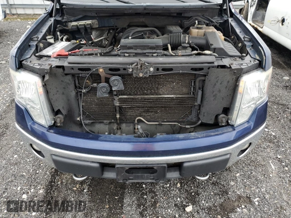 2010 Ford F-150 XL with VIN 1FTEX1E81AFB18871, listed as a Copart auction lot 51140165 with 163,462 mi miles and Clean Title. Bid and sale history available at carsss.com. Image 11.