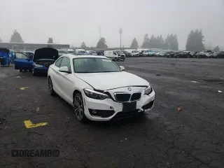 2018 BMW 2 Series 230i with VIN WBA2J1C58JVD09478, listed as a Copart auction lot 40318253 with 45,389 mi miles. Bid and sale history available at carsss.com. Image 11.