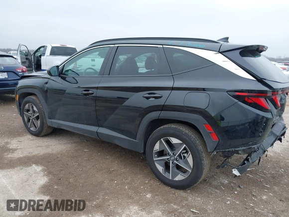 2025 Hyundai Tucson SEL with VIN 5NMJB3DE5SH502169, listed as a IAAI auction lot 41711984 with 2,486 mi miles. Bid and sale history available at carsss.com. Image 3.