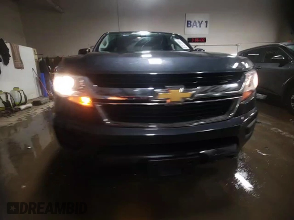 2015 Chevrolet Colorado 4WD WT with VIN 1GCHTAE38F1243528, listed as a Copart auction lot 87373664 with 109,957 mi miles and Salvage Title. Bid and sale history available at DreamBid. Image 13.