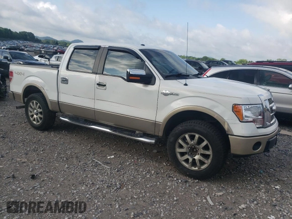2009 Ford F-150 XL with VIN 1FTPW14V49KB51448, listed as a Copart auction lot 57748555 with 187,260 mi miles and Clean title. Bid and sale history available at DreamBid. Image 4.