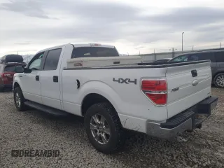 2012 Ford F-150 XL with VIN 1FTFW1EF5CFA48753, listed as a Copart auction lot 49877715 with 245,189 mi miles and Salvage Title. Bid and sale history available at carsss.com. Image 2.