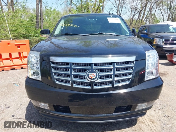 2011 Cadillac Escalade ESV Premium with VIN 1GYS4JEFXBR161853, listed as a IAAI auction lot 42095261 with 210,363 mi miles and . Bid and sale history available at DreamBid. Image 12.