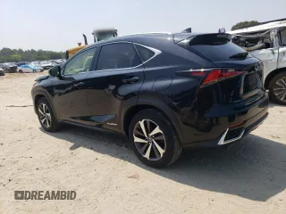 2019 Lexus NX 300h with VIN JTJBJRBZ3K2104833, listed as a Copart auction lot 60266395 with 109,030 mi miles and Salvage title. Bid and sale history available at DreamBid. Image 2.