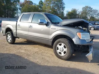 2010 Ford F-150 XL with VIN 1FTEW1C88AFA71456, listed as a IAAI auction lot 40961828 with 219,113 mi miles. Bid and sale history available at carsss.com. Image 1.