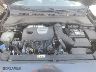 2019 Hyundai Kona Limited with VIN KM8K3CA58KU245941, listed as a Copart auction lot 49660465 with 66,806 mi miles and Salvage Title. Bid and sale history available at carsss.com. Image 13.