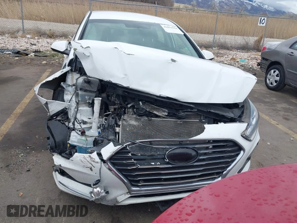 2018 Hyundai Sonata SE z VIN 5NPE24AFXJH698843, wystawiony jako IAAI lot #41851524 z przebiegiem 100 811 mil mil oraz . Historia ofert i sprzedaży dostępna na DreamBid. Obrazek 12.
