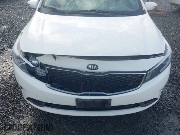 2018 Kia Forte LX with VIN KNAFK5A86J5773353, listed as a IAAI auction lot 41970202 with 73,917 mi miles. Bid and sale history available at carsss.com. Image 6.